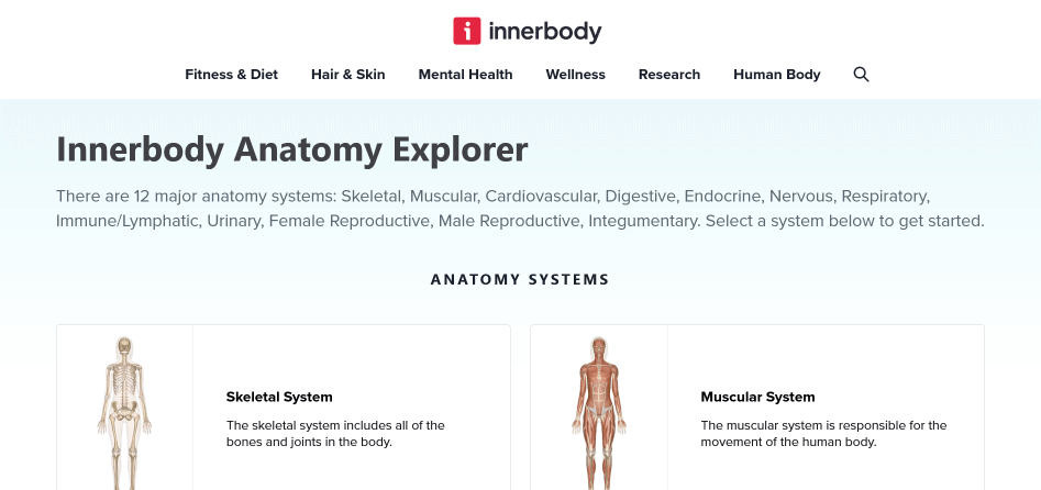 TechBrainiacs Create and Code Human Anatomy Explorer Screenshot